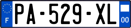 PA-529-XL