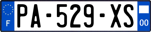 PA-529-XS