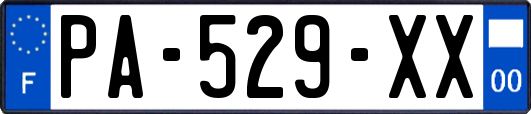 PA-529-XX