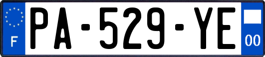 PA-529-YE