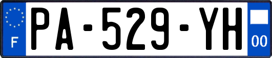PA-529-YH