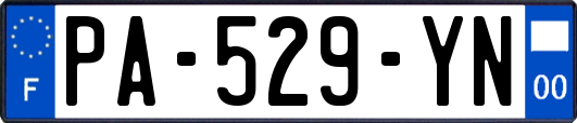 PA-529-YN