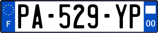 PA-529-YP