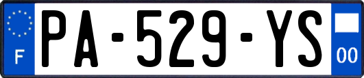 PA-529-YS