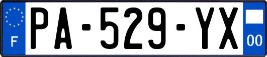 PA-529-YX