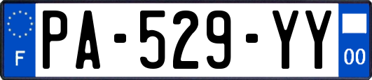 PA-529-YY