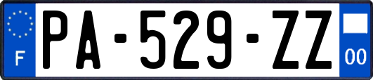 PA-529-ZZ