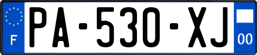 PA-530-XJ