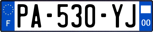 PA-530-YJ
