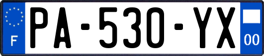 PA-530-YX