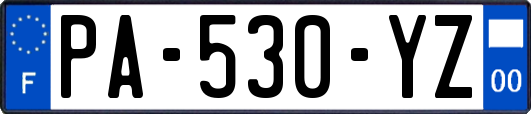 PA-530-YZ
