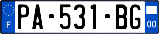 PA-531-BG