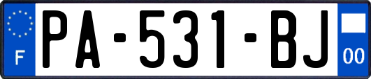 PA-531-BJ