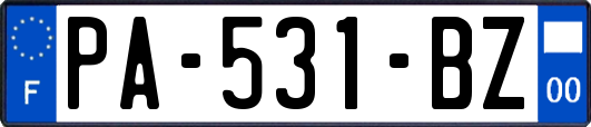 PA-531-BZ