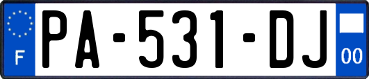 PA-531-DJ