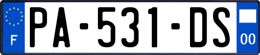 PA-531-DS