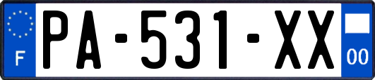 PA-531-XX