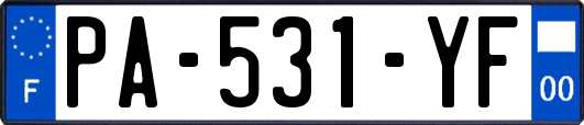 PA-531-YF