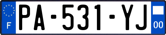 PA-531-YJ