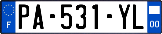 PA-531-YL