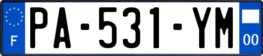 PA-531-YM