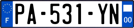 PA-531-YN