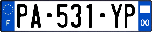PA-531-YP