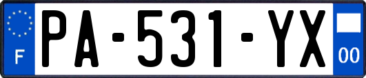 PA-531-YX