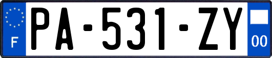 PA-531-ZY