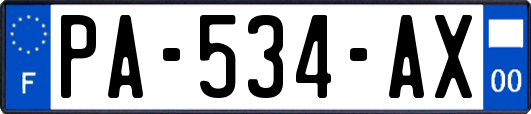 PA-534-AX