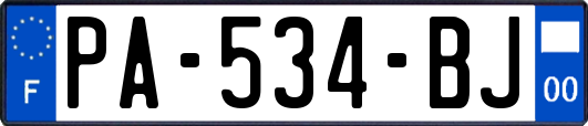 PA-534-BJ