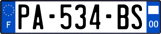 PA-534-BS