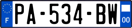 PA-534-BW