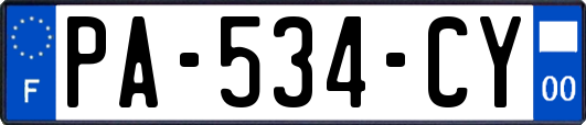 PA-534-CY