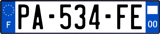 PA-534-FE