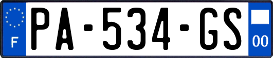 PA-534-GS