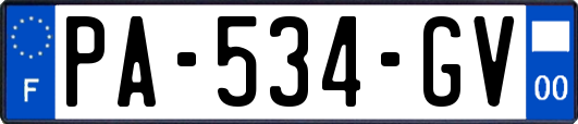 PA-534-GV