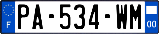 PA-534-WM
