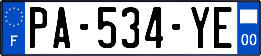 PA-534-YE