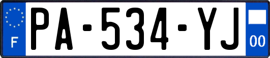 PA-534-YJ
