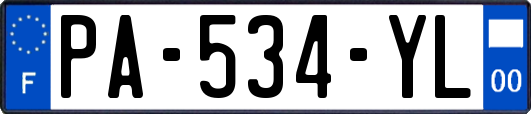 PA-534-YL