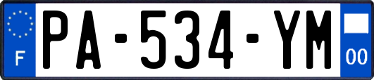 PA-534-YM