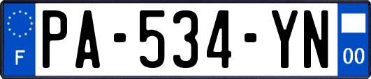 PA-534-YN
