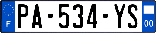 PA-534-YS