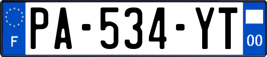 PA-534-YT