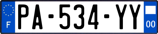 PA-534-YY