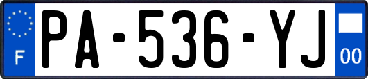 PA-536-YJ