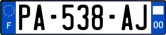 PA-538-AJ