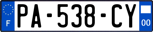 PA-538-CY