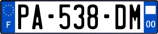 PA-538-DM